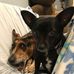 Profile Picture of Dawn Jenkins (@dawn.jenkins.37051579) on Facebook