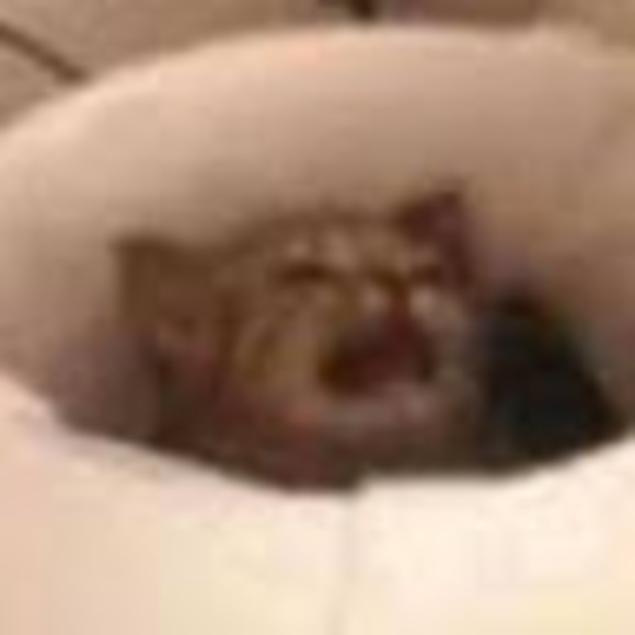 Profile Picture of Richard Penfold (@richardpenfold) on Poshmark