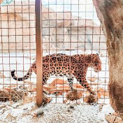 Profile Picture of Tori Murphy (@torimurphy7924) on Youtube