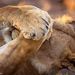 Profile Picture of Leonardo Cassone (@cassone0658) on Pinterest
