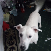 Profile Picture of Harvey Benjamin (@HarveyBenjamin2214) on Youtube