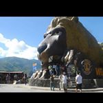 Profile Picture of Randy Concepcion (@randy.concepcion.777) on Instagram