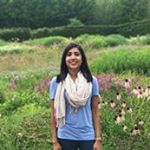 Profile Picture of Chitra Rajagopalan (@crajagop1) on Instagram