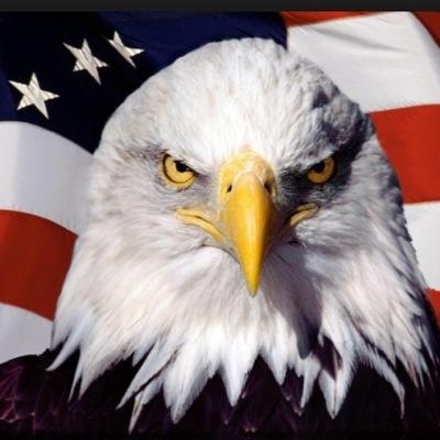 Profile Picture of Adam Loveless (@AIRBORNxEAGLE) on Twitter