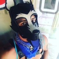 Profile Picture of Steven Prado (@steven-prado-4) on Quora