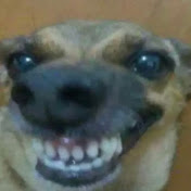 Profile Picture of Leia Lopez (@leialopez6703) on Youtube