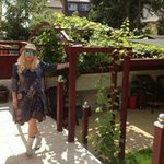Profile Picture of Sibel Yalbir (@sibelyalbir) on Instagram