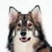 Profile Picture of Mark Allen Sova (@markallen.sova.56) on Facebook