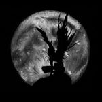 Profile Picture of 𝓛𝓾𝓬𝓪 𝓐𝓲𝓮𝓵𝓵𝓸✨ (@luca_aiello__) on Instagram