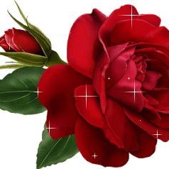 Profile Picture of Joyce Tomasi (@joyce.tomasi) on Facebook