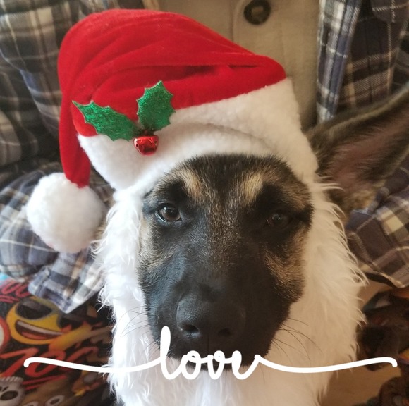 Profile Picture of David Heath (@heath_david_w) on Poshmark