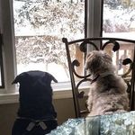 Profile Picture of Stephen Viola (@xx1vizzy7xx) on Instagram