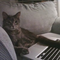 Profile Picture of Edward Bartels (@edward-bartels-1) on Quora