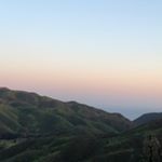 Profile Picture of petermolinaa (@petermolinaa) on Instagram