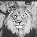 Profile Picture of matthew (@matthew_sprouse19) on Instagram