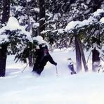 Profile Picture of Dennis Shellhorn (@dennis.shellhorn) on Facebook