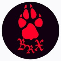 Profile Picture of Carlos Borux Borunda (@carlos-borux-borunda) on Quora