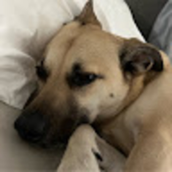 Laura Maselbas - Poshmark Profile Picture of Laura Maselbas (@sorenzs) on Poshmark