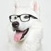 Profile Picture of Peter Colson (@petercolson5) on Pinterest