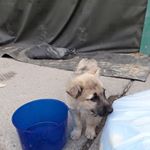 Profile Picture of David Klint (@david.klint.731) on Instagram