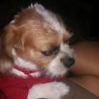 Profile Picture of   fred (@fred2015) TikTok |... (@fred2015) on Tiktok