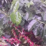 Profile Picture of Mario Garzon (@mario.garzon.33234) on Facebook