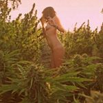 daniel black - Instagram Profile Picture of daniel black (@daniel_prieto6) on Instagram