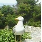 Profile Picture of Mario Martorello (@martorellomario) on Instagram