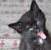 Profile Picture of Nathan Haas (@nathan.haas.144) on Facebook
