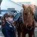 Profile Picture of Jeanne Lehman (@jeannel399) on Pinterest