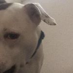 Profile Picture of Blake Mccann (@blakemc47) on Instagram