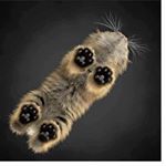 Profile Picture of Janet Dough (@blooodmooon2015) on Instagram