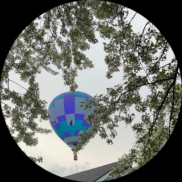 Chandler Harris - Poshmark Profile Picture of Chandler Harris (@chan_h) on Poshmark