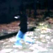 Profile Picture of Eric Chapman (@nike10920) on Youtube