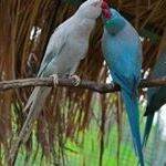 Profile Picture of Sabir Sultan (@sabirsultan69) on Instagram