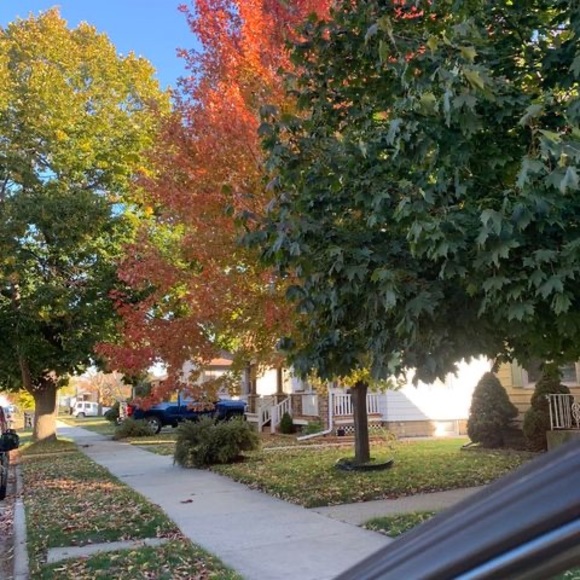 Profile Picture of Clara Gonzalez (@claragonzale776) on Poshmark