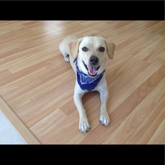 Profile Picture of Alex Kent (@maybecheap) on Poshmark