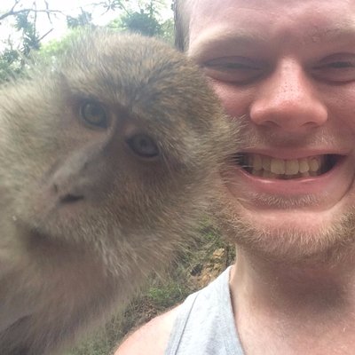 Profile Picture of Thomas Hinds (@HairyHinds) on Twitter