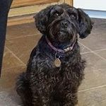 Profile Picture of Adele Olson-Walker (@adeleolsonwalker) on Instagram