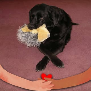 Profile Picture of Nancy Rucinski (@nancy.rucinski) on Instagram