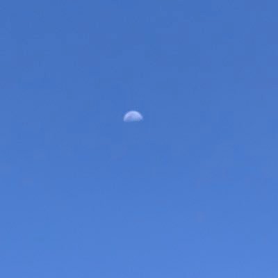 Profile Picture of Angie Hoyer  (@Nick02Angels) on Twitter