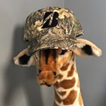 Profile Picture of Gary LaFayette (@garylafayette1) on Instagram