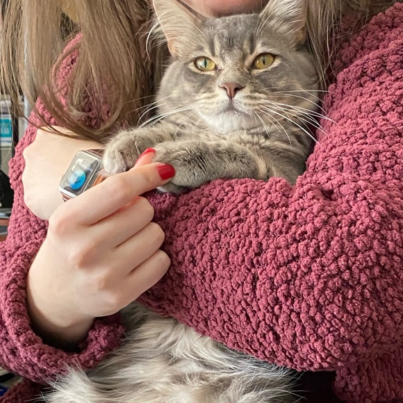 Profile Picture of Cassandra Hensley (@chensley425) on Poshmark