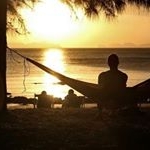 Profile Picture of Peter Hoke (@peter_hoke) on Instagram