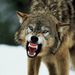 Profile Picture of selman officiall (@selmanofficiall) on Pinterest