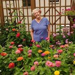 Profile Picture of Donna Utter (@donnautter1) on Instagram