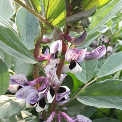 Profile Picture of Xu Bin (@xubin928) on Twitter