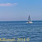 Profile Picture of Lisa (@lisa.torchio_) on Instagram