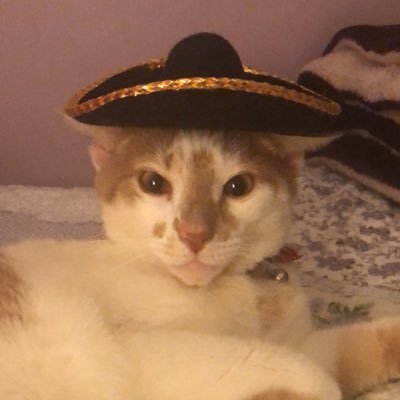 Profile Picture of Bianca Caballero (@BCaballero77) on Twitter