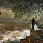 Profile Picture of Percy Clark (@Percy-Clark) on Facebook